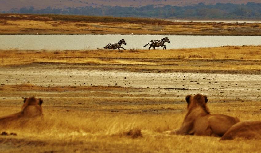 VIAJE AVENTURA EN TANZANIA CON ZANZIBAR (EN 4X4)  DESDE HERMOSILLO