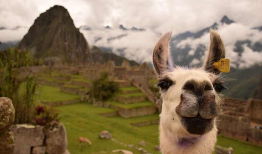 Viaje machu picchu inn  desde Hermosillo